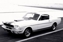 FORD Mustang GT 350 Shelby 4.7L V8 4MT (310 HP)