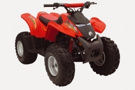 CAN-AM/ BRP Bombardier DS90 2-stroke