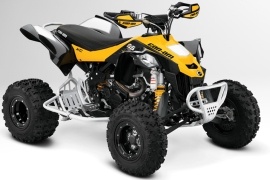 CAN-AM/ BRP DS 450 X xc